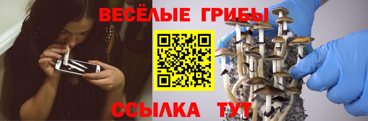 Галлюциногенные грибы Psilocybe  Галлюциногенные грибы ЛСД  Салават  Вход с VPN 